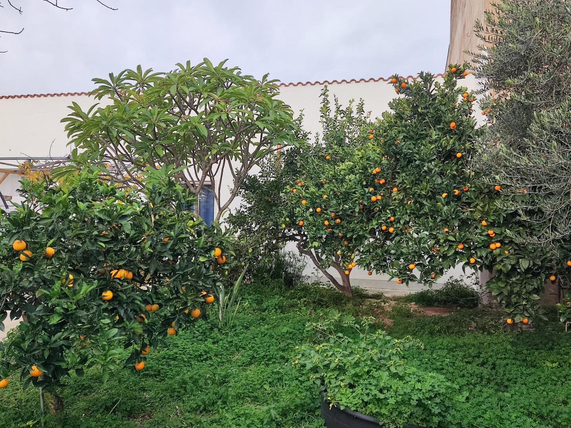 L'Araucaria Bnb Marsala Exterior photo