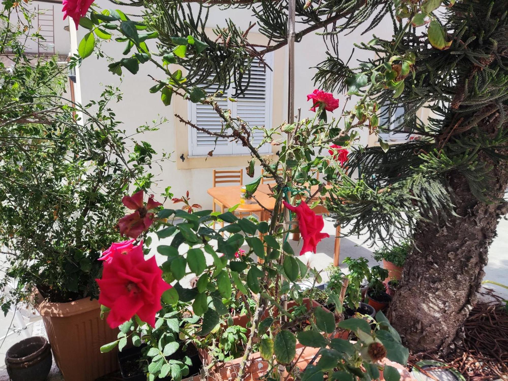 L'Araucaria Bnb Marsala Exterior photo